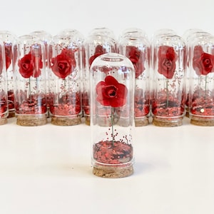 Red Wedding Favors for Guests, Beauty and the Best Party Favors, Glass Cloche Rose Dome Favors, Bulk Wholesale Favors Souvenirs Promo Gifts