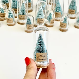 Bulk Christmas Favors, Christmas Eve Gifts, Xmas Favors, Christmas Gifts for Guests, Custom Christmas Party Favors, Mini Christmas Tree