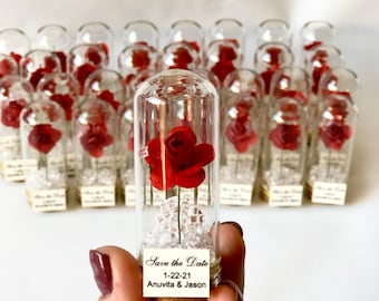 10 Stück Gastgeschenke für Gäste, Hochzeit Gefälligkeiten, Gefälligkeiten, Kuppel, Benutzerdefinierte Gefälligkeiten, Die Schöne und das Biest, Quinceanera Sweet 16, Rose Dome Bevorzugungen