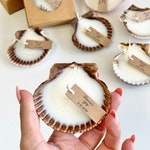 Shell Candles