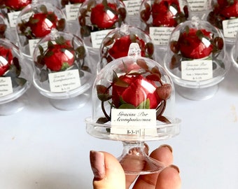10 pcs Dome Wedding Favors for Guests, Beauty and the Beast Custom Favors, Personalized Party Favors, Rustic Favors, Baptism Favors, Boho