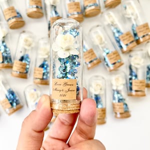 Bulk Rose Dome Favors for Guests, Wedding Favors Gift , Personalized Party Gifts, Beauty and the Beast Custom Favors, Bachelorette Favors