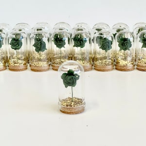 Emerald Green Wedding Favors for Guests, Beauty and the Best Party Favors, Glass Cloche Rose Dome Favors, Bulk Wholesale Souvenirs Gifts