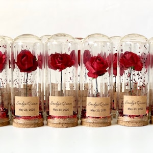 Wedding Favors For Guests Glass Dome Favors, Quinceñera Party Favors, Beauty and the Beast Party Favors Cloche Dome Red Favors - set of 10
