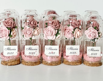 10 pcs Favors for guests, Wedding Favors, Favors, Pink favors, Blush Favors, Custom Favors, Beauty and the Beast, Party Favors, Bride Shower