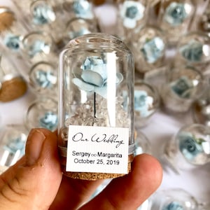Bulk Rose Dome Favors for Guests, Wedding Favors Gift, Personalized Party Gifts, Beauty and the Beast Custom Favors, Bachelorette Favors