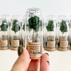 Bulk Wedding Favors for Guests, Custom Beauty and the Beast Favor, Personalized Green Party Favors, Thank You Gifts, Elegance Souvenirs
