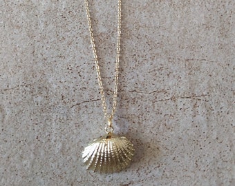 Gold conch shell chain necklace