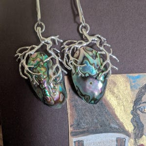 Può includere: Un paio di orecchini argentati con conchiglie di abalone iridescenti. Ogni conchiglia è racchiusa in una cornice decorativa argentata a forma di ramo. Gli orecchini pendono da un semplice gancio. I gusci mostrano una miscela di tonalità verdi, blu e viola.