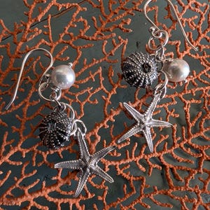 Puede incluir: Pendientes de plata con una perla, una estrella de mar y un dije de erizo de mar. Los pendientes están sobre un fondo de coral.