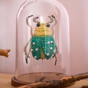 Crochet (faux) beetle, insect dome for oddities cabinet