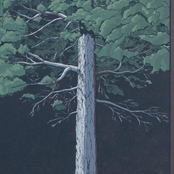 Tree Portrait 003 - Serigrafía