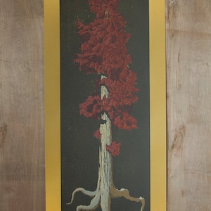 Könnte beinhalten: Ein roter und weißer Baum mit einem dicken Stamm und langen, gewundenen Wurzeln. Der Baum steht vor einem dunkelgrünen Hintergrund und ist von einem gelben Rahmen umgeben.