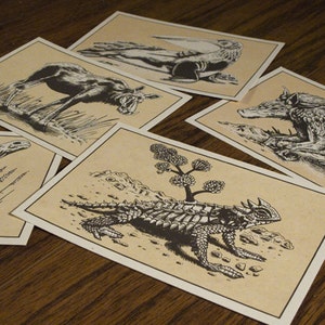 Animal Postcards - Set of 5 - Screen Printed - Society for Scientific Exploration