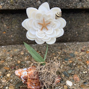 May include: A white seashell flower with a starfish and a seashell on top, sitting on a brown seashell with moss and green leaves.