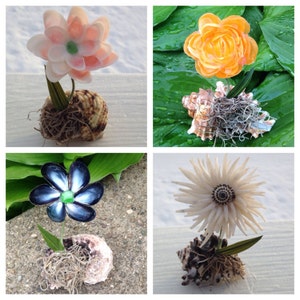 May include: Four handmade flower arrangements made from seashells. Each arrangement features a different flower design and is potted in a seashell with moss and greenery.