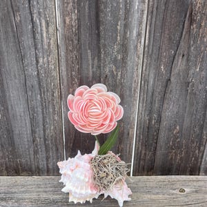 Seashell Flower in a Shell image 11