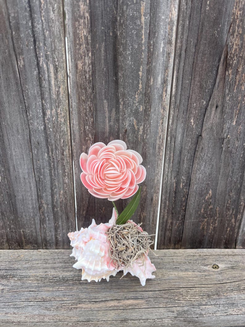 Seashell Flower in a Shell image 11