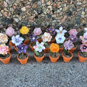 Custom Seashell Flower Pot