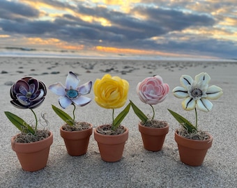 Custom Seashell Flower Pot