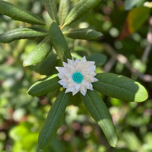 Eine von einer Art komplizierten Seashell Flower Stem Bild 15