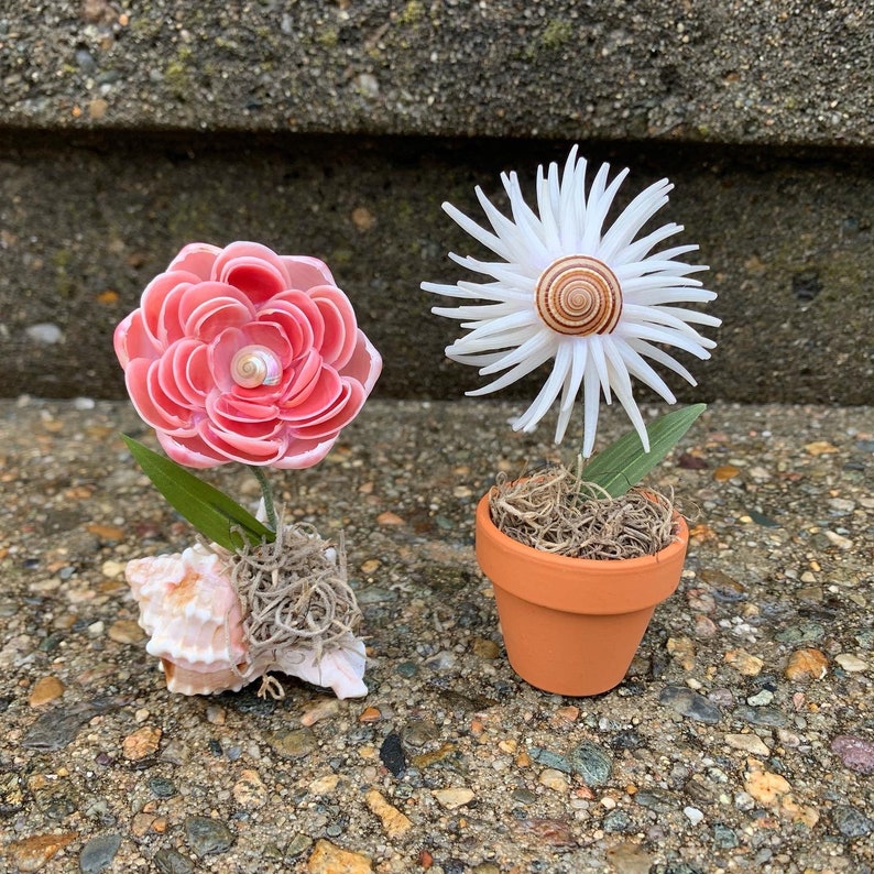 May include: Two potted shell flowers, one pink and one white, with a seashell base. The flowers are made of seashells and are in small terracotta pots.
