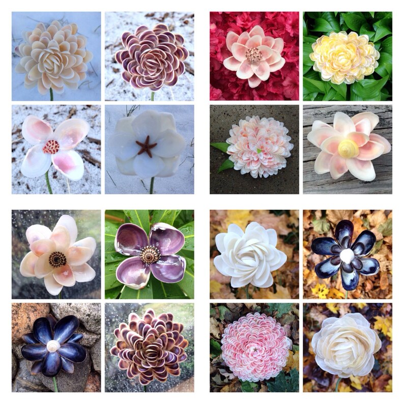 K&ouml;nnte beinhalten: Eine Sammlung handgefertigter Blumen aus Muscheln, die eine Vielzahl von Farben und Designs zeigen. Die Blumen reichen von hellbeige bis tiefviolett, einige mit rosa und wei&szlig;en Akzenten. Jede Blume ist einzigartig, mit unterschiedlichen Bl&uuml;tenblattanordnungen.