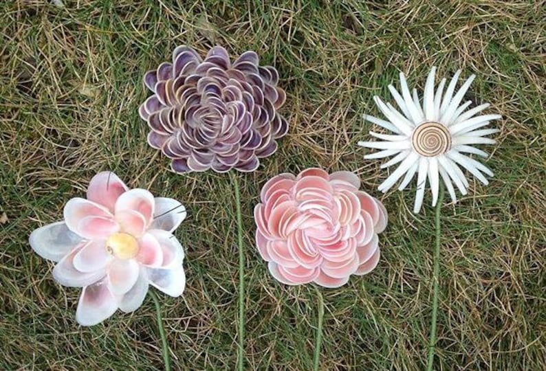 K&ouml;nnte beinhalten: Vier handgefertigte dekorative Blumen aus Muscheln, angeordnet auf Gras. Die Blumen sind in den Farbt&ouml;nen Rosa, Wei&szlig; und Lila gehalten und haben gr&uuml;ne Stiele. Eine Blume hat eine spiralf&ouml;rmige Mitte.