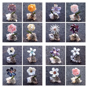 May include: A collection of 12 unique shell flower arrangements. Each flower is made from different types of shells and is arranged in a shell base. The flowers are in a variety of colors, including pink, purple, white, and yellow.