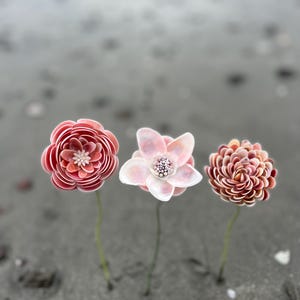 Eine von einer Art komplizierten Seashell Flower Stem Bild 1