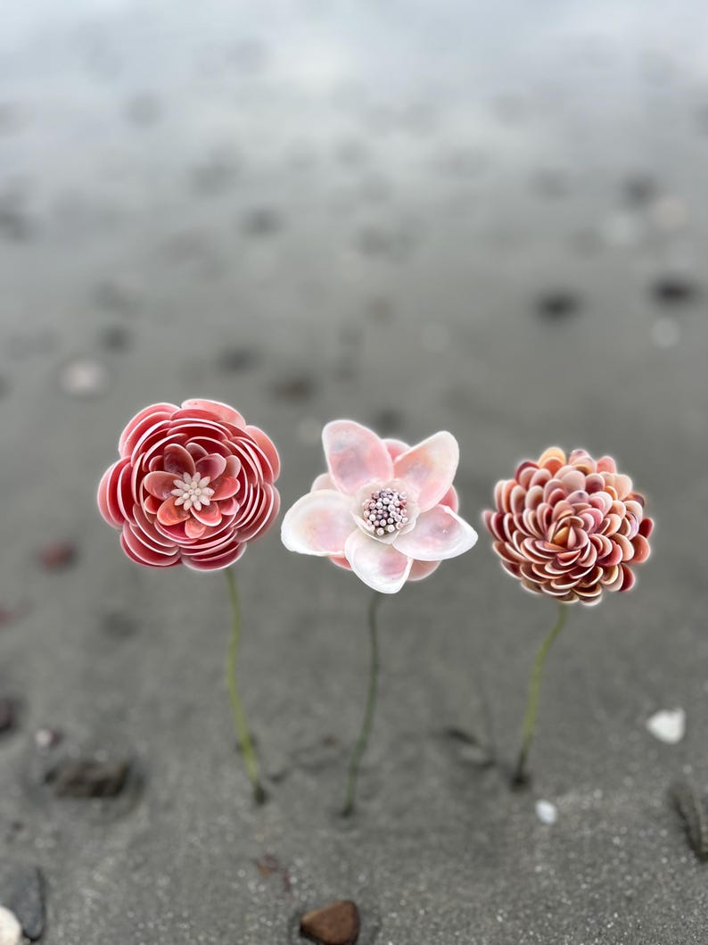 Eine von einer Art komplizierten Seashell Flower Stem Bild 1