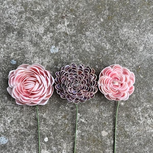 Eine von einer Art komplizierten Seashell Flower Stem Bild 16