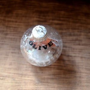 Guinea Pig Floated Paper Christmas Ornament personalized memorial glass bulb pet gift image 3
