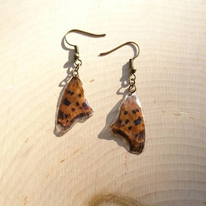 Butterfly wing earrings. Burnt orange colouring.