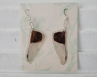 Dragonfly wing earrings. Nickel free metal.