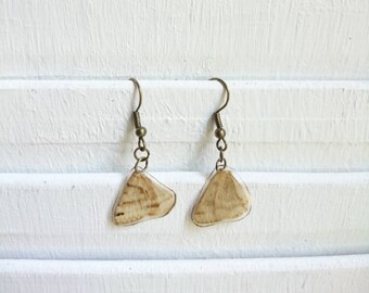 Moth wing earrings. Nickle free metal.