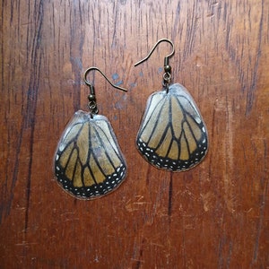 Monarch Schmetterling Flügel Ohrringe. Nickle freies Metall.