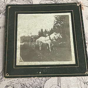 May include: A black and white photo of two horses pulling a carriage through a forest. The photo is framed in a black frame with a gold trim.