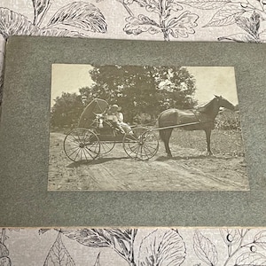 May include: A black and white photograph of a horse-drawn carriage with a person sitting inside. The carriage is on a dirt road and there are trees in the background.