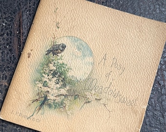 Antique 1890 Victorian Gift Book A Posy of Meadowsweet Illustrated Landscapes and Flowers Poetry Book Ernest Nister Gift Book