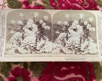 Antique Underwood 1800s The Hand that Made us Divine Floral Arrangement Stereoscope Photo Card