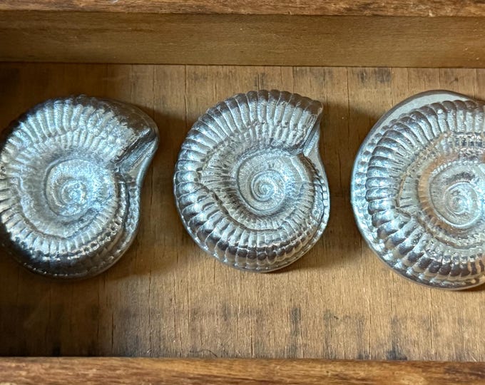 Ammonite Fossil Individually Cast Metal Paperweight Decor Gift Sold Separately