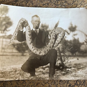 May include: Vintage black and white photograph of a man holding a large snake. The snake has a patterned design. The man is wearing a dark suit and tie. The photo is taken outdoors.