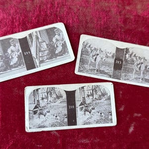 rare stereoscope cards Rare Stereoview Card