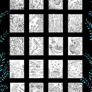 The back cover of the book shows an example of all 25 illustrations included