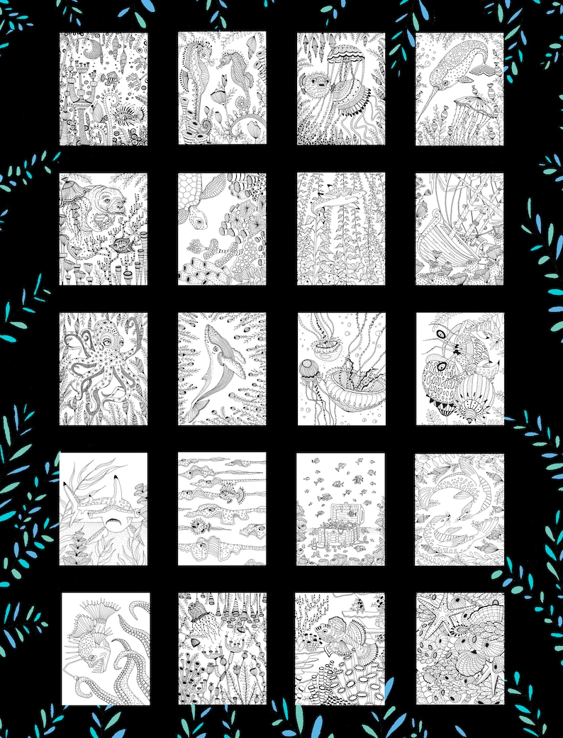 The back cover of the book shows an example of all 25 illustrations included