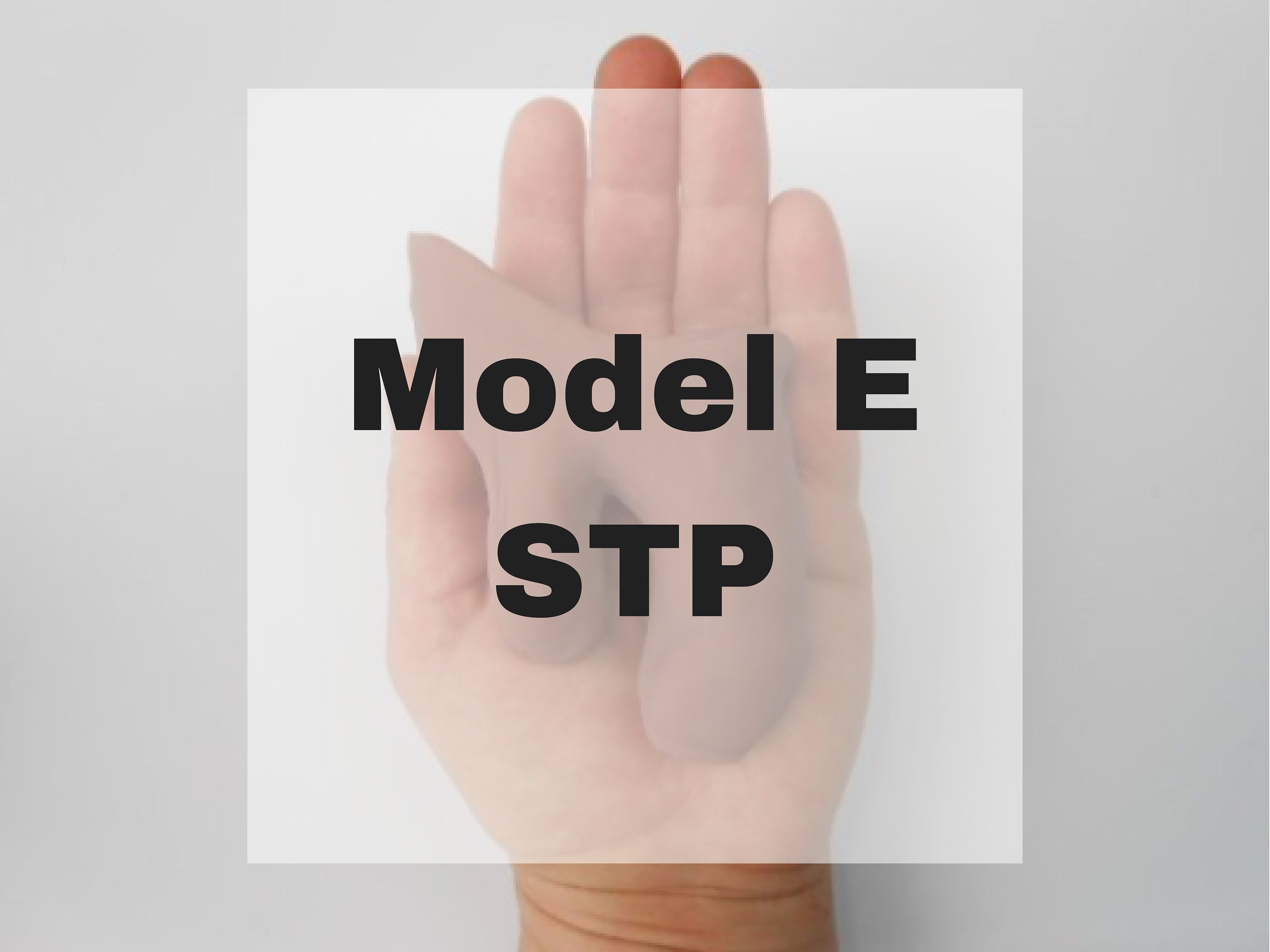 Model E STP FTM Platinum Silicone Mature Prosthetic picture