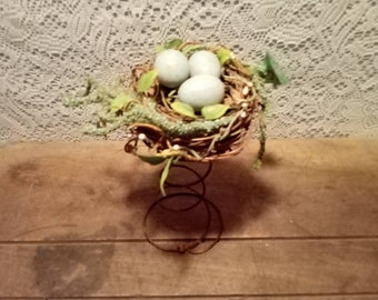 Rustic Spring With Bird Nest