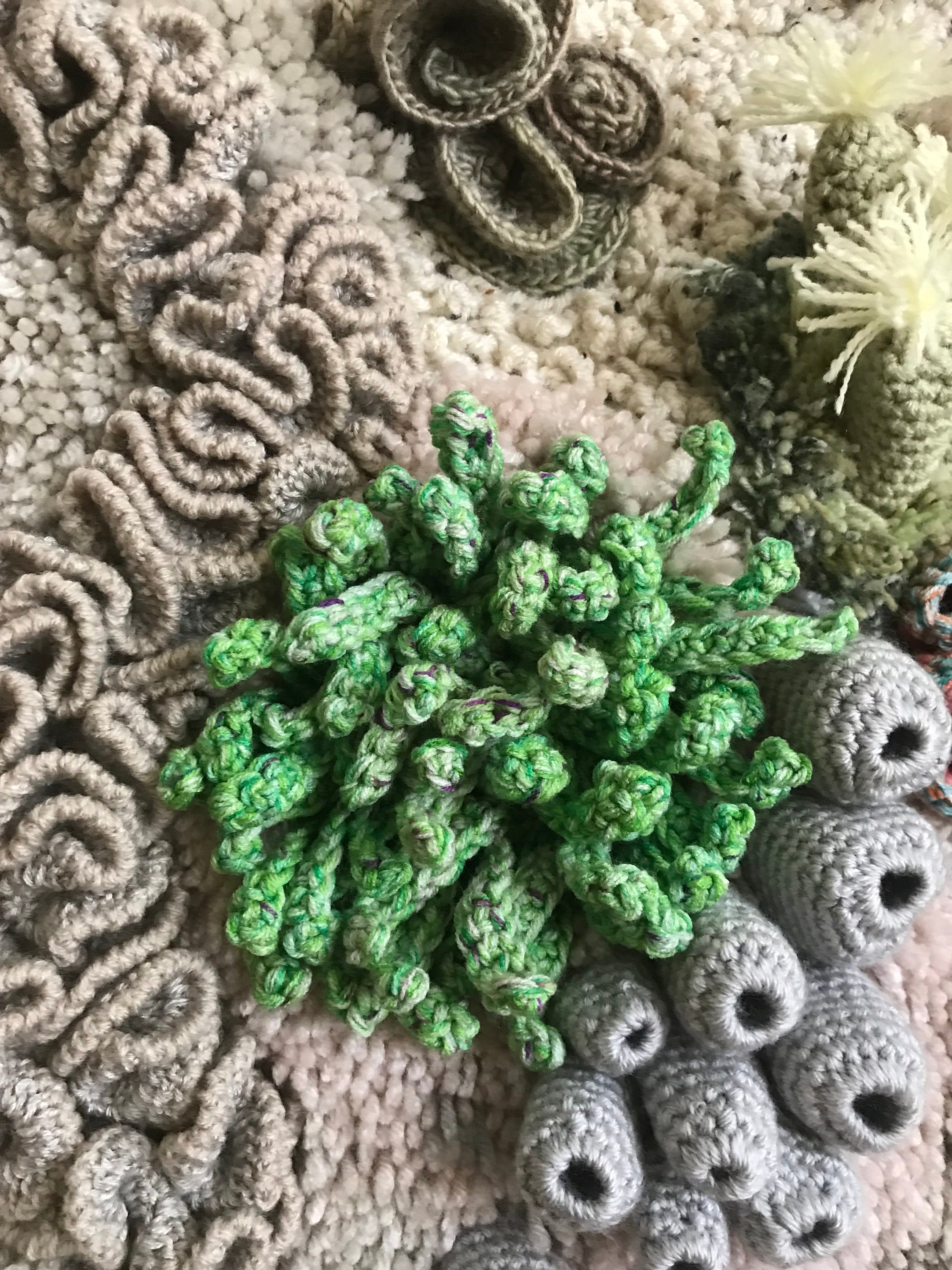 View of Coral Reef Wall Decor - Etsy