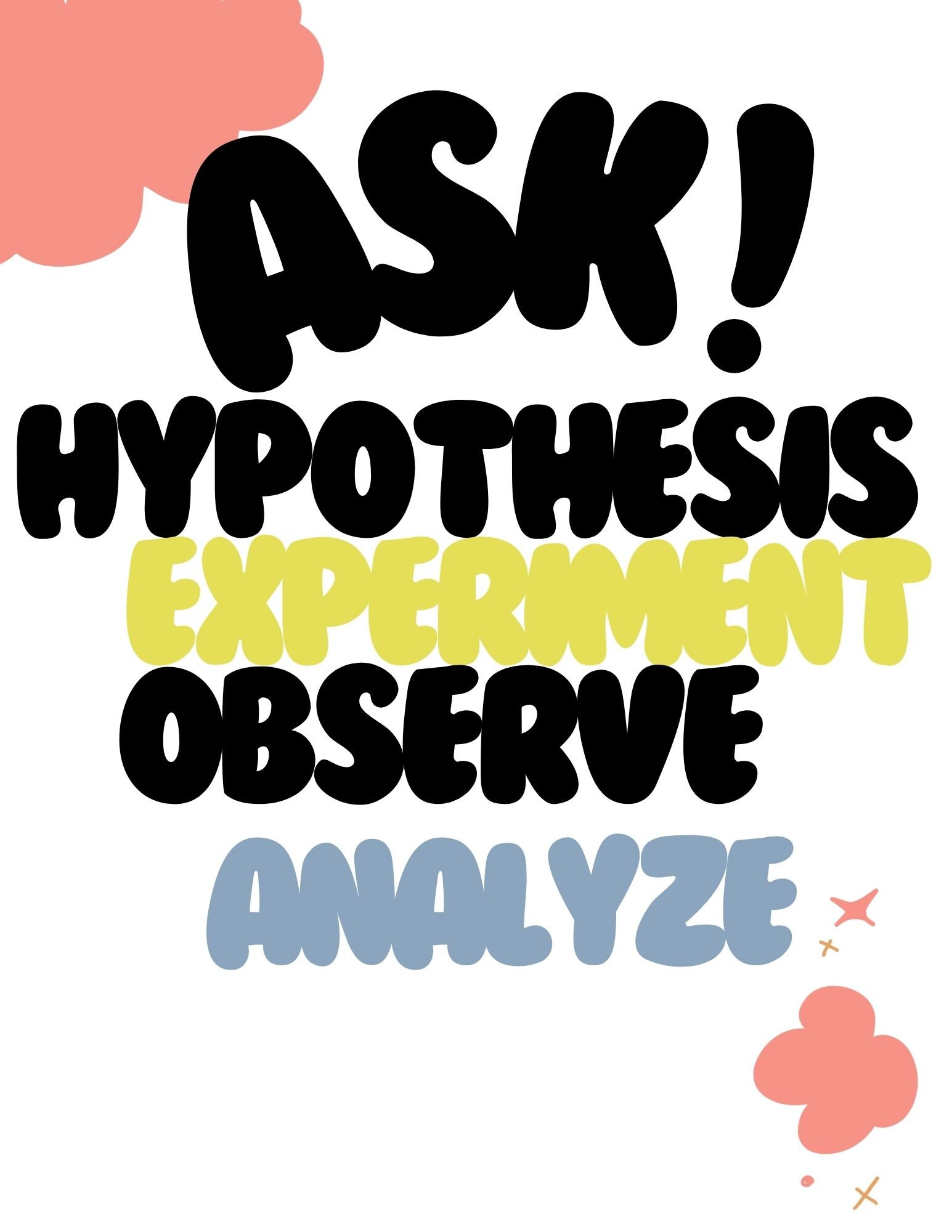 Scientific Method Worksheet, Homeschool Printable (PDF) - Etsy